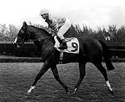 Northern Dancer, Canada's pride and joy