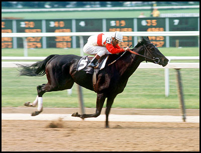 Ruffian, the filly who wouldn't lose