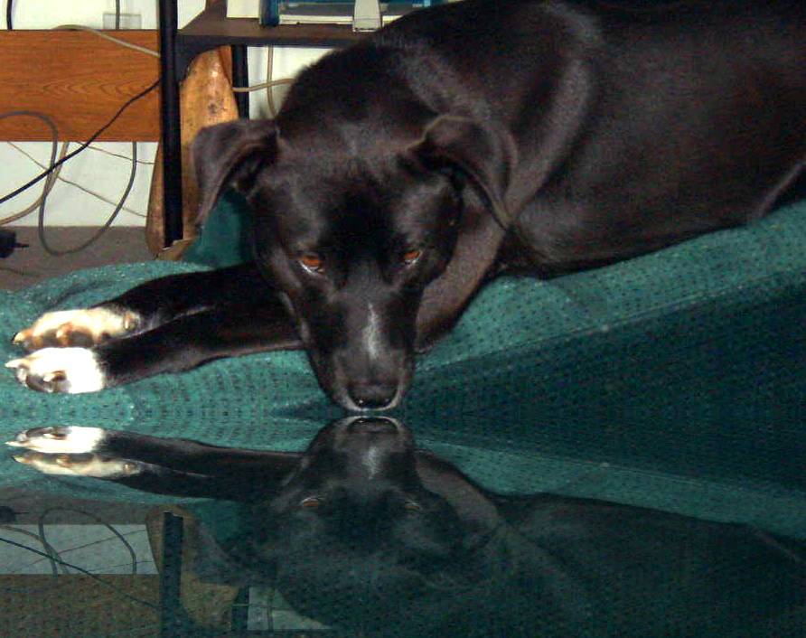 Lounging