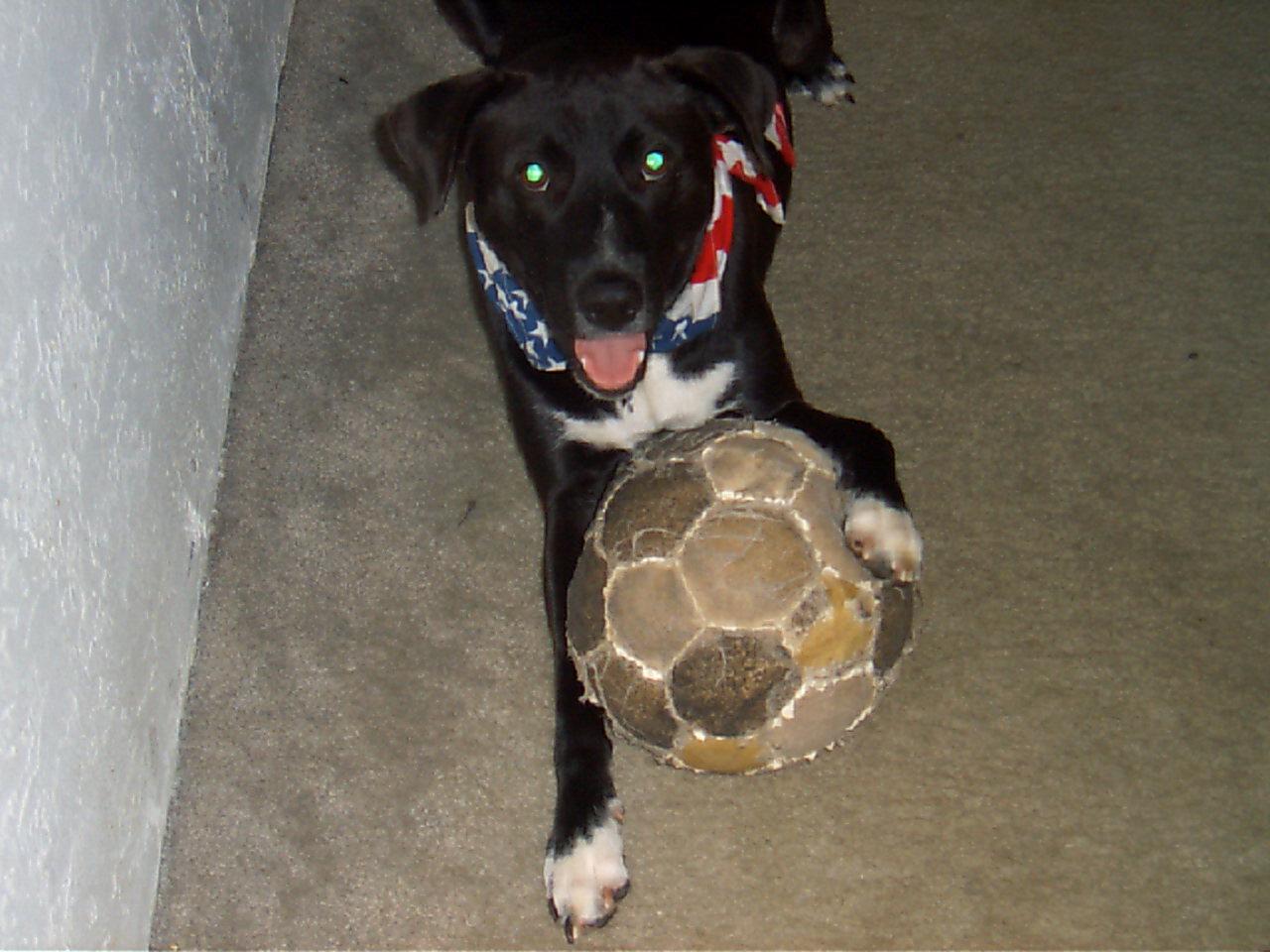 Wanna play ball?