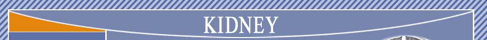 Alternative Medicine Acupuncture Herbal Treatment Cure Kidney Cancer Herbs Kuala Lumpur Treatment Cure Centre