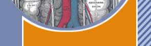 Alternative Medicine Acupuncture Herbal Treatment Cure Kidney Cancer Herbs Kuala Lumpur Treatment Cure Centre