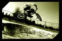 Specialized Team Member