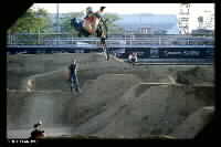 Specialized BMX Member