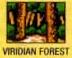 PGviridianforest.jpg (2164 bytes)