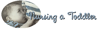 Nursing a Toddler