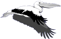 Head to Pelican beach