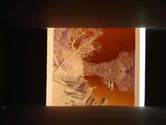 My Kiev60 negative