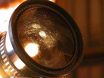 Carl Zeiss 50 fungus