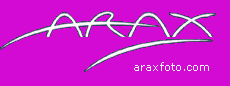 araxfoto