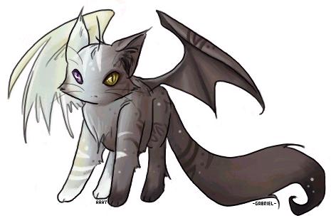 Dark/Light Kittybomb