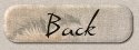 206back.jpg (2080 bytes)