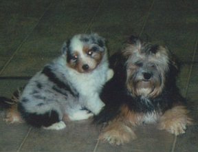 bestfriends.jpg (12334 bytes)