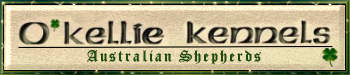 bnr-link-okellie.jpg