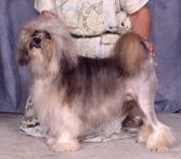 freida-sm.jpg
