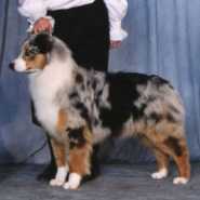 lacey-sm.jpg