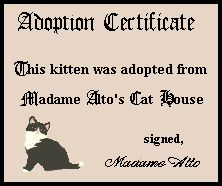 Adopt a Cyber Kitten!