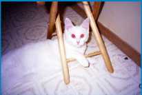 The evil eyes!
