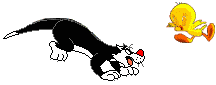 piolin242.gif (7108 bytes)