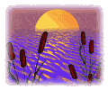  click here for more kiko_summertime  