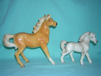 Palomino and white