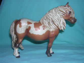 Cheval Shetland