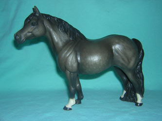 Cheval Welsh