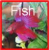 click here for the bettas page