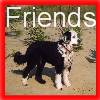 click here for their friends