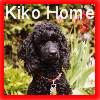 You are on Kiko's home page