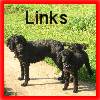 click here for favourite links