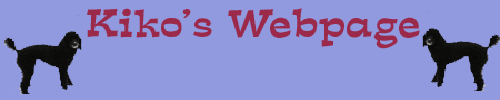 kikos banner