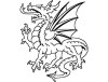 dragon image
