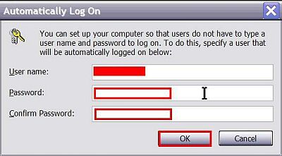 Automatically Log On box