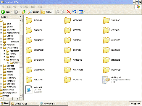 another Content.IE5 folder with 20 subfolders