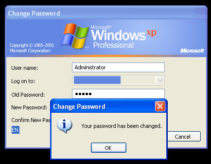Your password has been changed