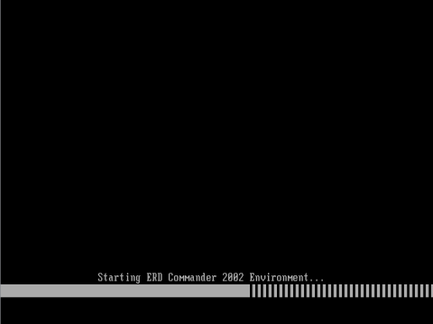 Starting ERD Commander