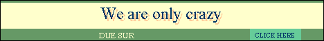 Due South Banner - Due Sur - In English and Espa�ol