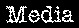 medialink.jpg (2440 bytes)