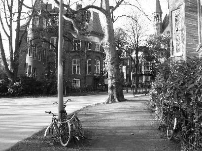 attempted artistic shot in a park&nbsp; (Amsterdam)