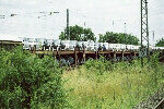 Lots of New Beetle on a train