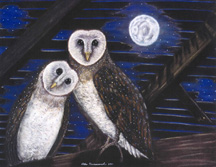 another owl on this page, click