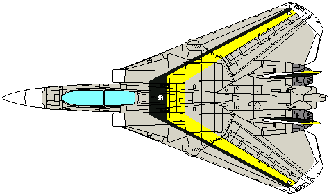 VF-14 of NF-103 Jolly Rogers