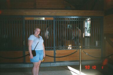 In front of one of the Bud horses