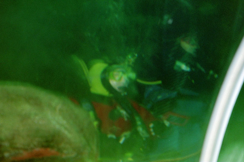Picture_15