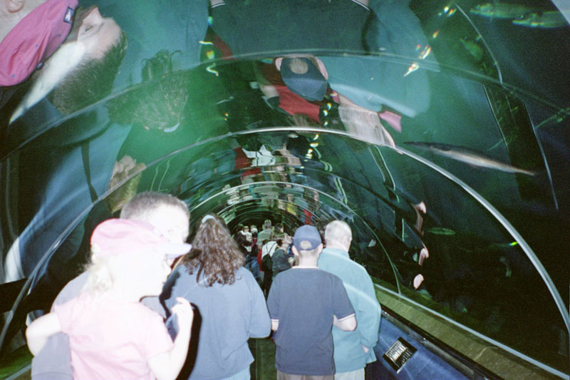 aquarium_tunnel