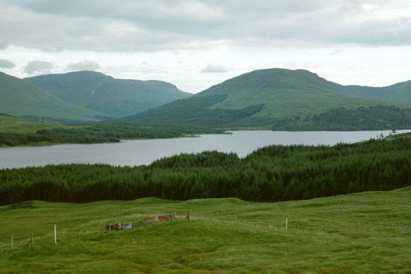 scot_drive_lochview2