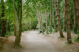 Path to malehide castle