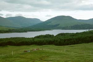 scot_drive_lochview2