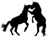 Click to view mares and stallions ... some are for sale